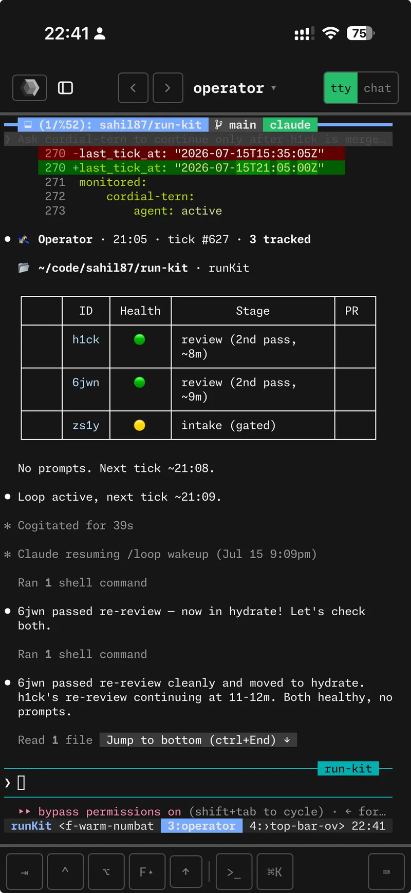 A live tmux pane on a phone, with an on-screen key bar for tab, ctrl and arrow keys.